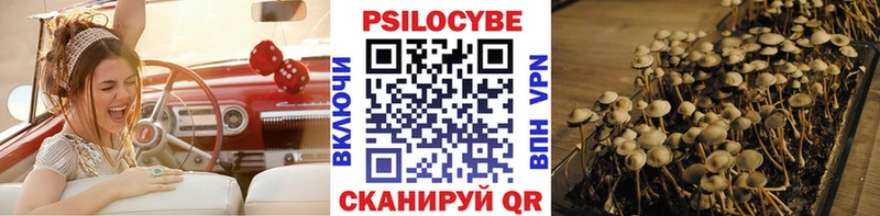 что такое наркотик  Ростов-на-Дону  Псилоцибиновые грибы ЛСД 